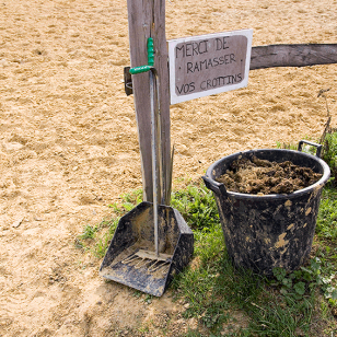 Crottins mous (« diarrhée »)