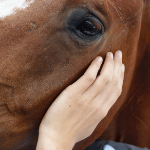 Coliques digestives récidivantes