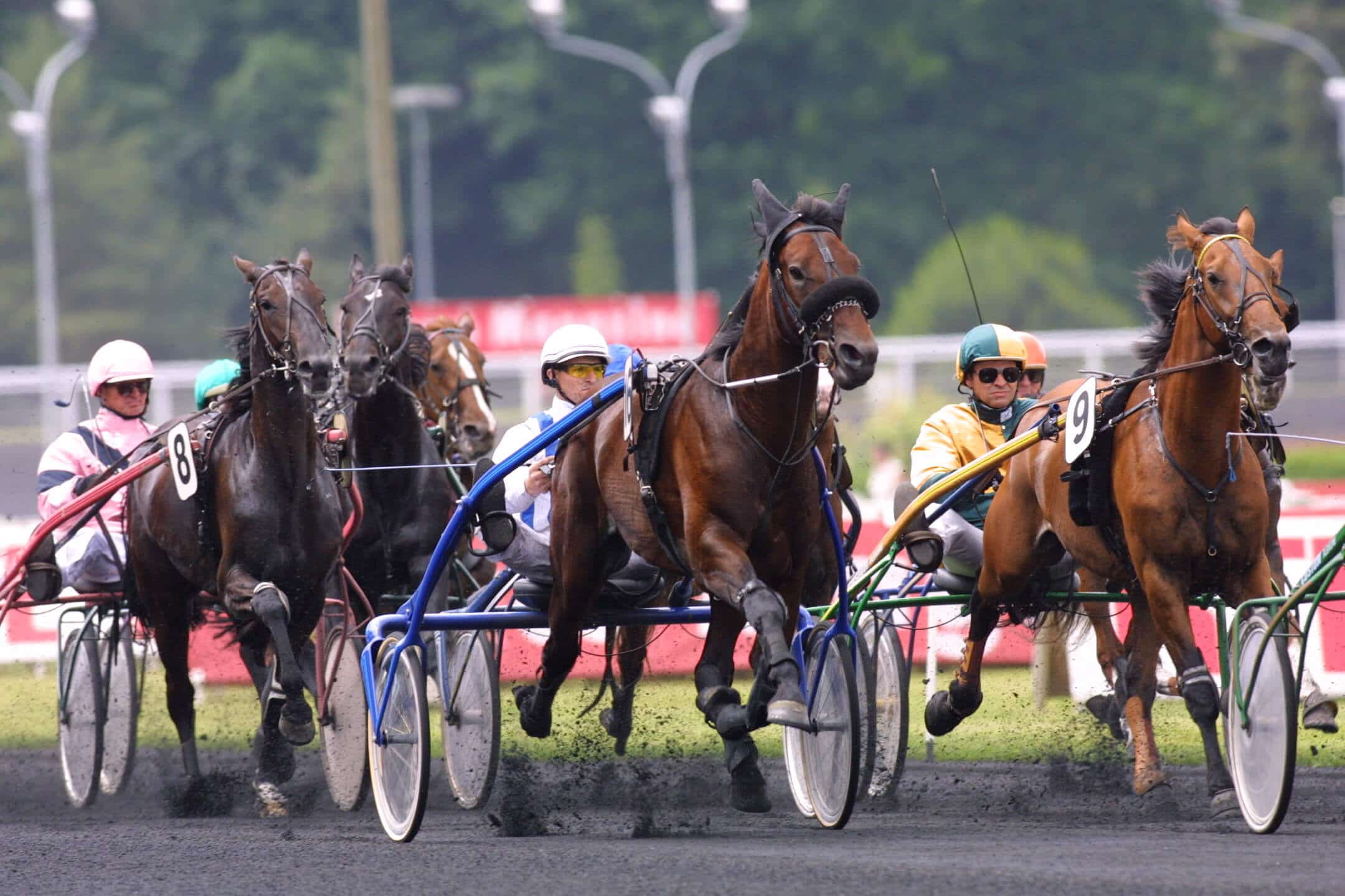La garantie Or Destrier la garantie 0 résidu dopant Destrier
