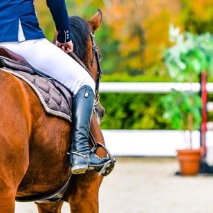 Concours saut d’obstacles (CSO)